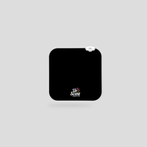 Ds-Mini-1.png